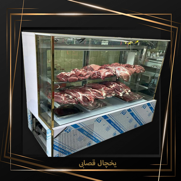قیمت یخچال قصابی کوچک